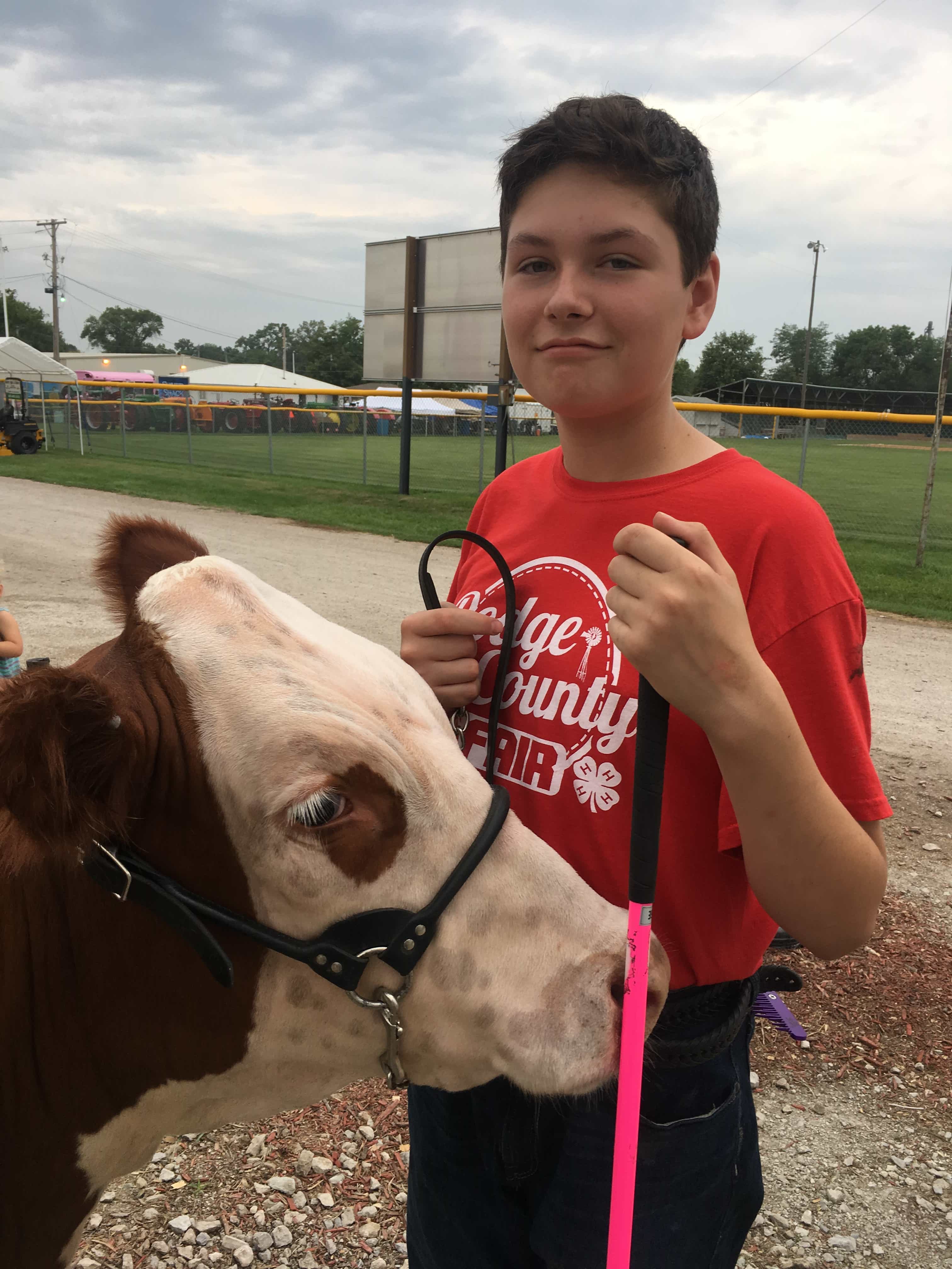 Boy and Cow