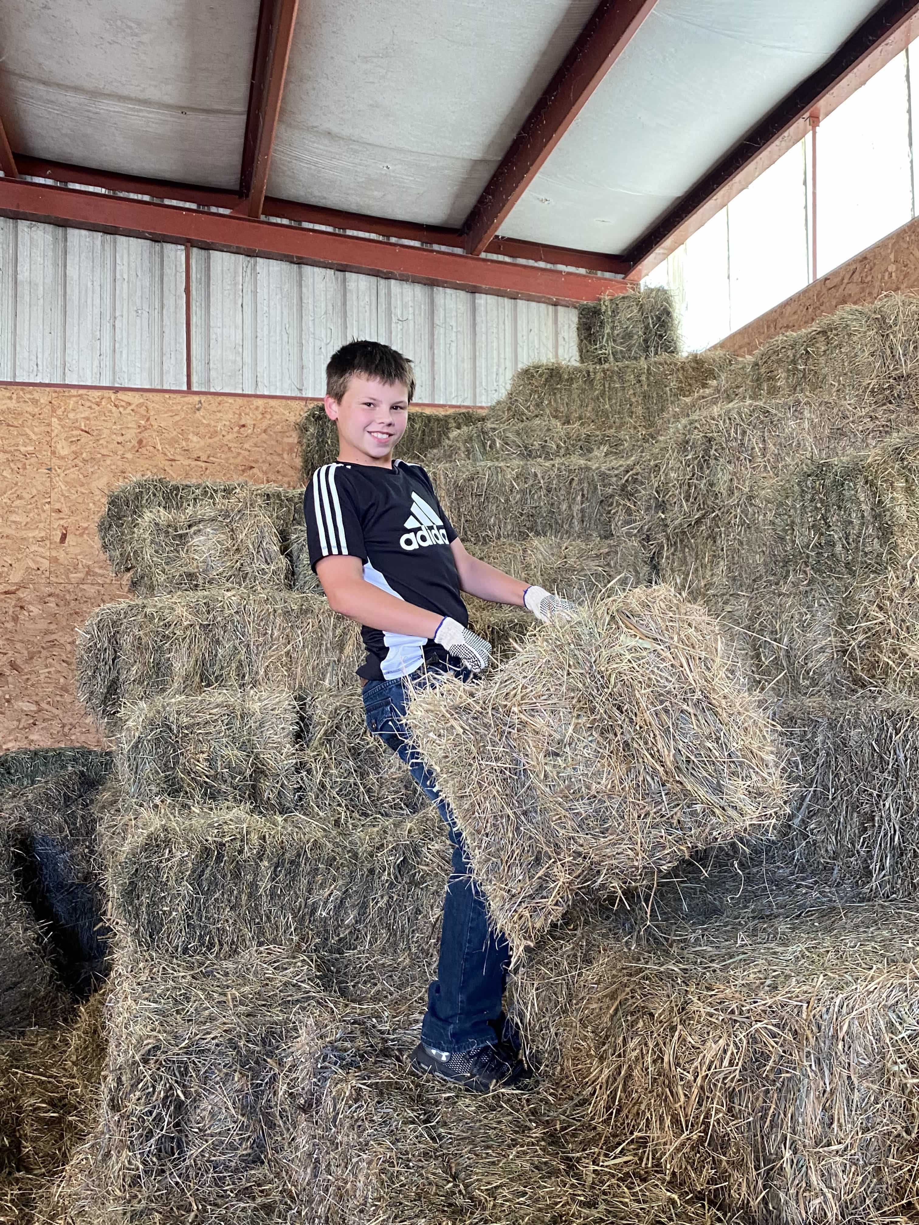 Stacking bales