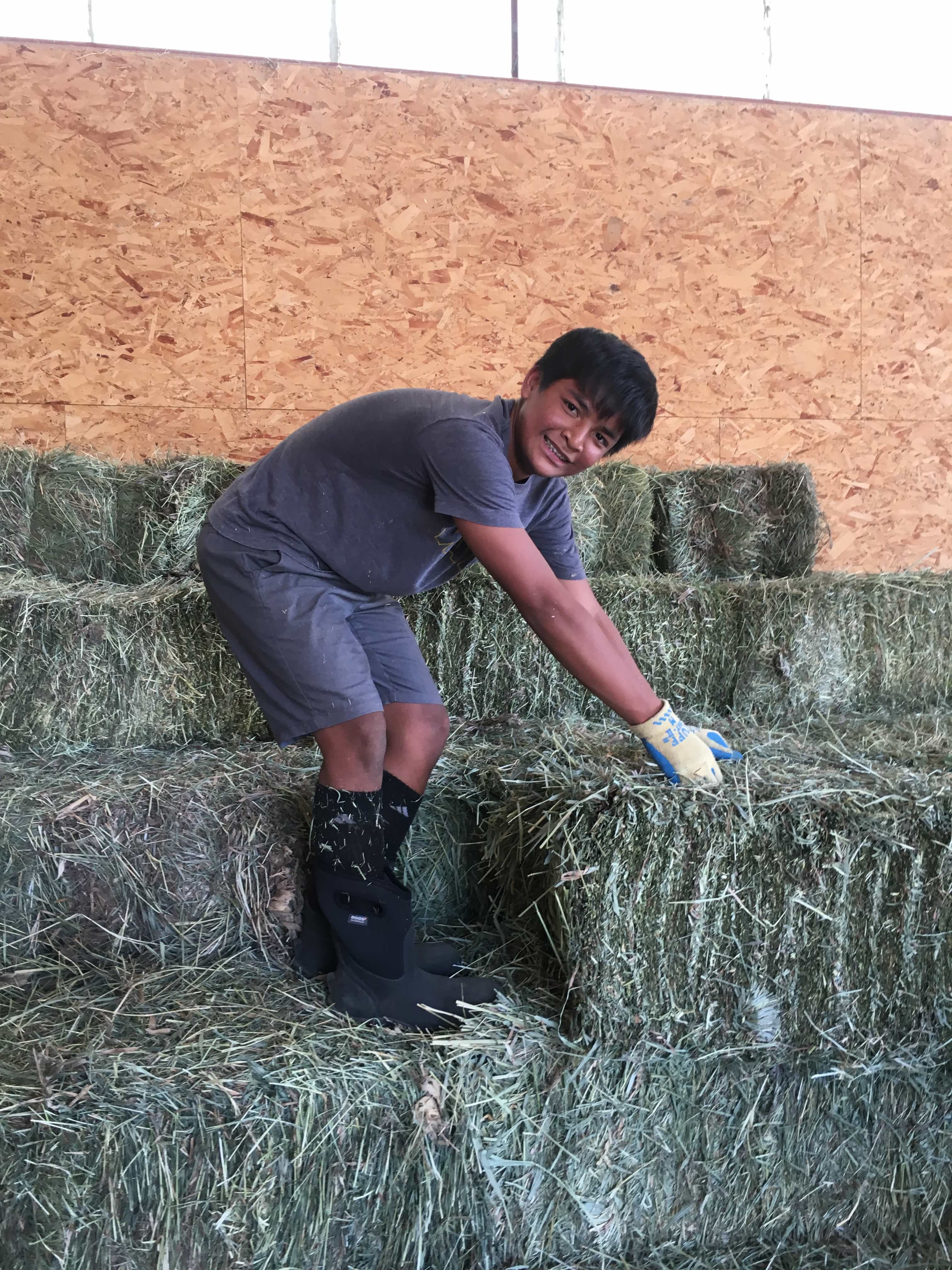 Max stacking haybales