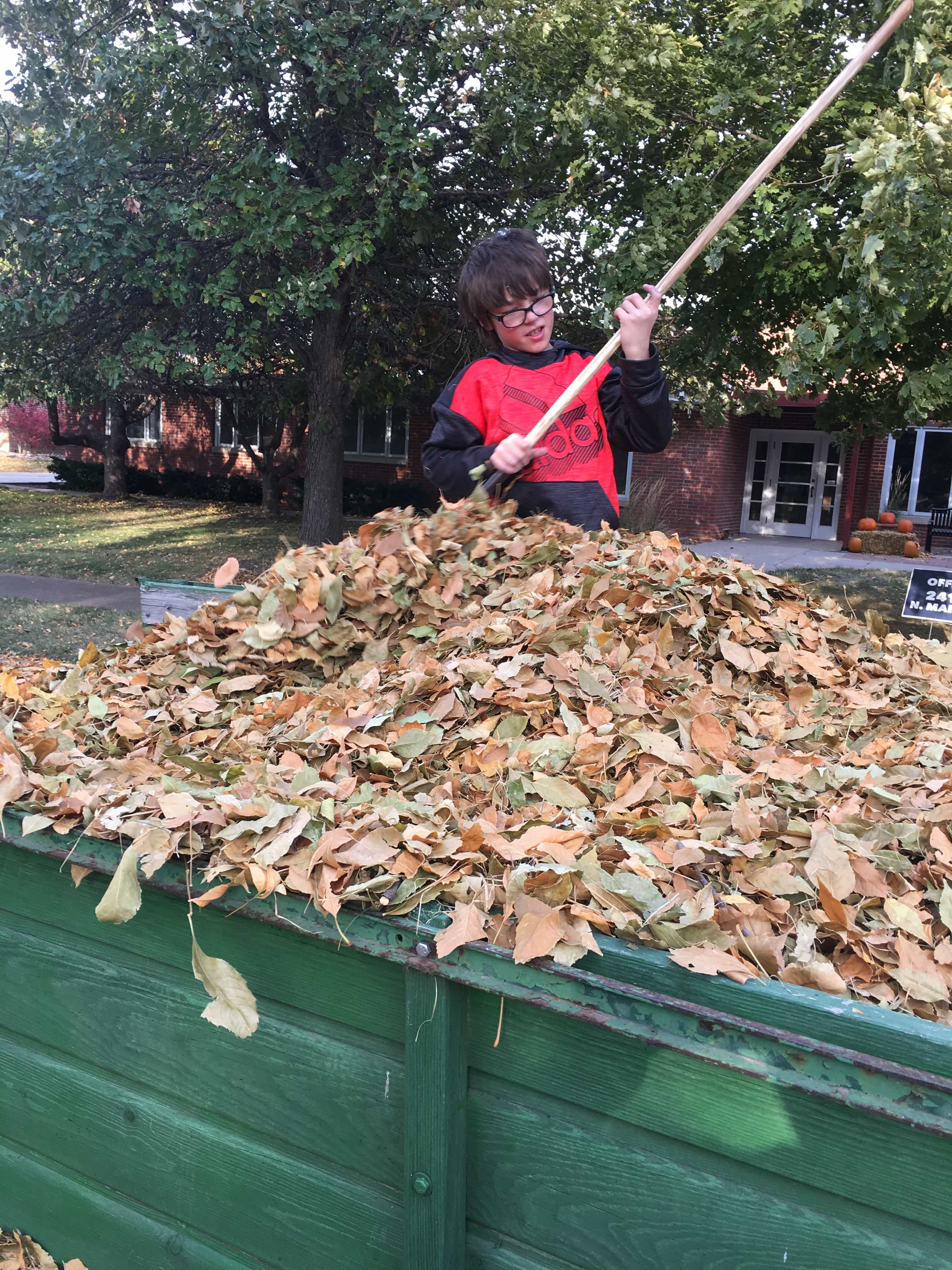 Raking Leaves