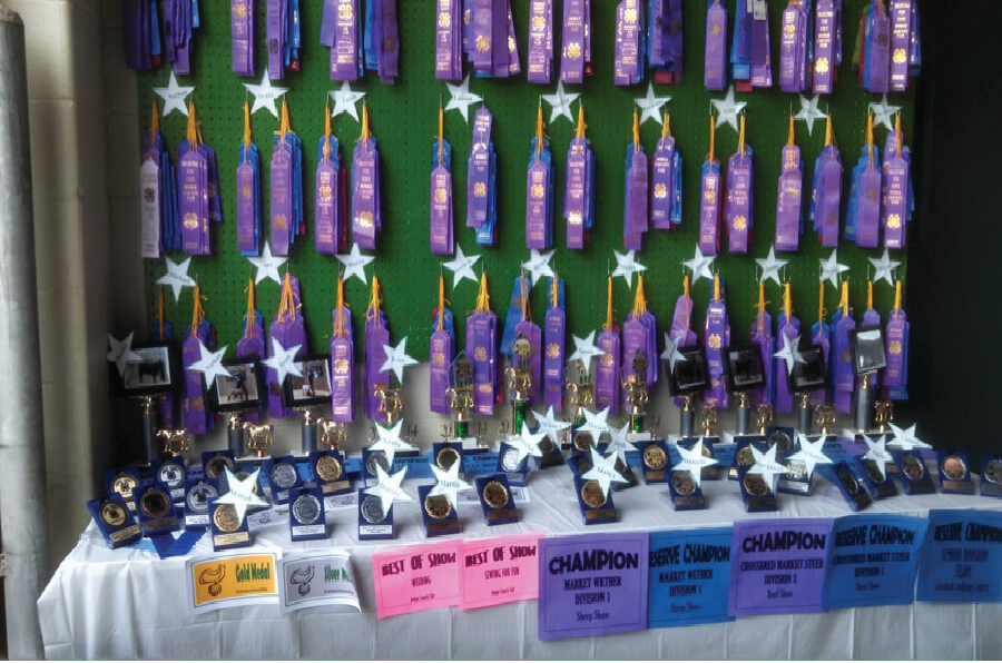 4-H Ribbons